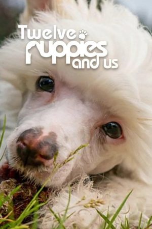12 Puppies And Us (2020) poster