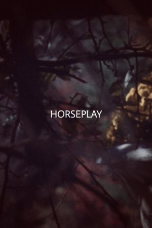 Horseplay (2017) poster