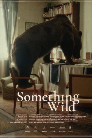 Something Wild (2025) poster
