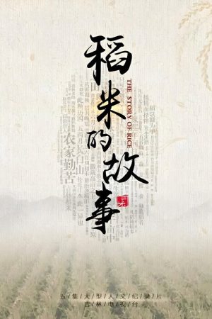 稻米的故事 (2019) poster