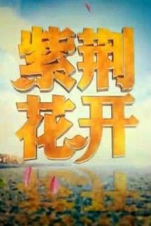 紫荆花开 (2017) poster