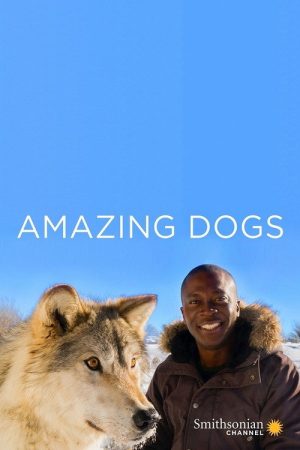 Amazing Dogs (2019) poster