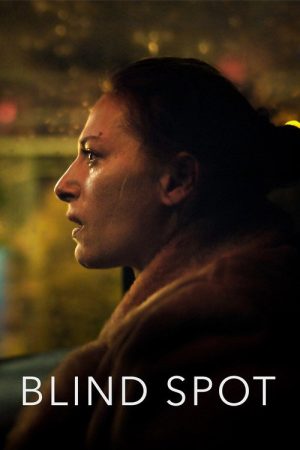 Blind Spot (2018) poster