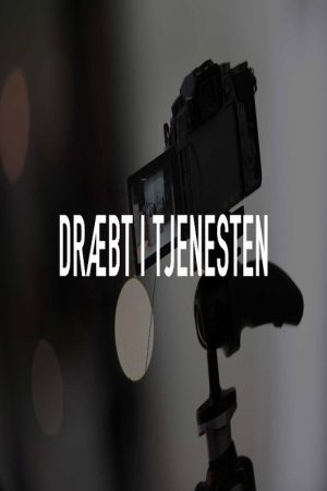 Dræbt i tjenesten (2017) poster