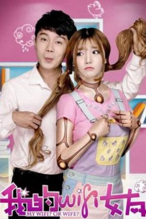 My Wifi? Or Wife? (2016) poster