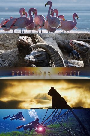 Mysterious Planet (2020) poster