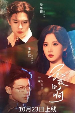 昼夜回响 (2025) poster