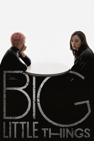 Big Little Things (2026) poster