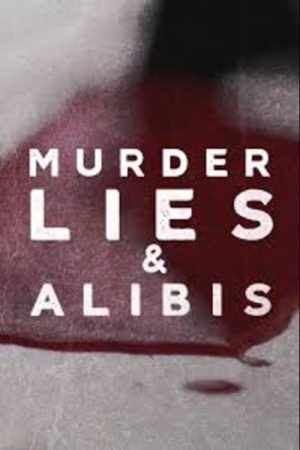 Murder, Lies and Alibis (2019) poster