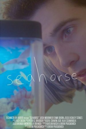 Seahorse (2019) poster
