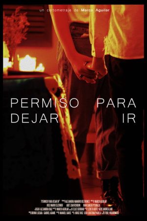 Permiso para dejar ir (2022) poster