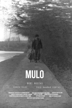 Mulo (2018) poster