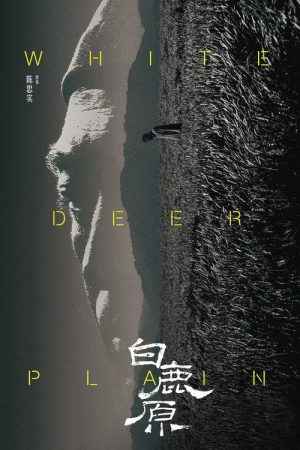 White Deer Plain (2017) poster