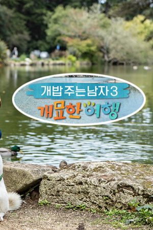 개밥 주는 남자 개묘한 여행 (2019) poster
