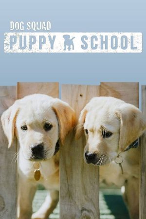 Dog Squad Puppy School (2020) poster