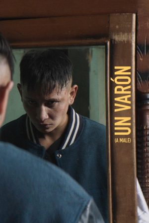 A Male (2023) poster