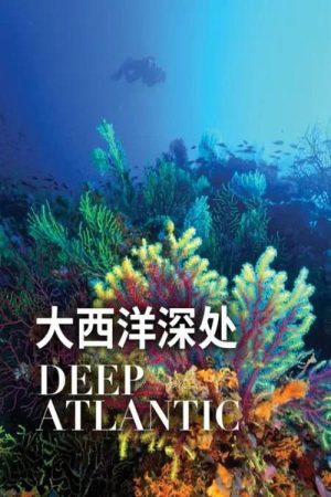 Deep Atlantic (2019) poster