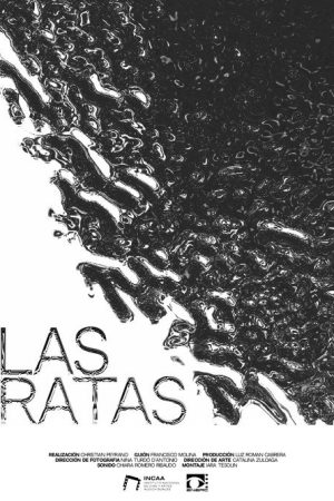 Las Ratas (2025) poster