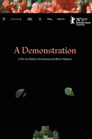 A Demonstration (2020) poster