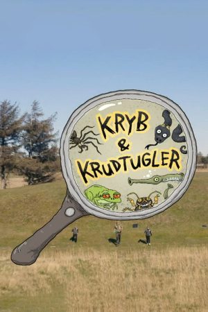 Kryb og krudtugler (2021) poster
