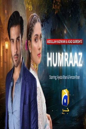 Humraaz (2025) poster