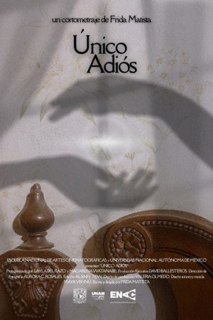 The Last Goodbye (2025) poster