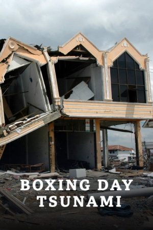 Boxing Day Tsunami (2021) poster