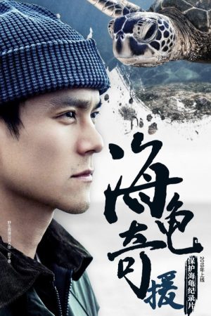 海龟奇援 (2019) poster