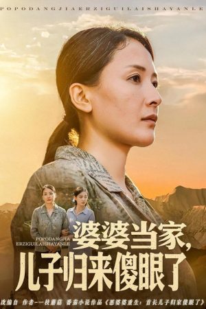 婆婆当家，儿子归来傻眼了 (2025) poster