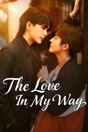 The Love in My Way (2026) poster