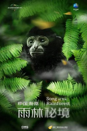 Song of the Rainforest (2023) poster