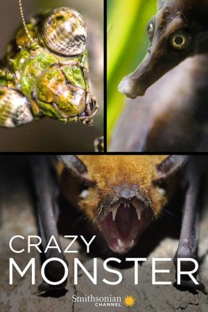 Crazy Monster (2017) poster