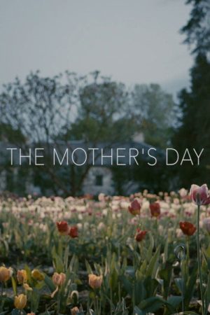 The Mother’s Day (2017) poster