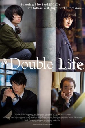 Double Life (2016) poster