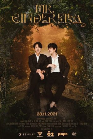 Mr. Cinderella (2021) poster