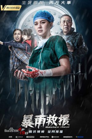 Rainstorm Rescue (2019) poster