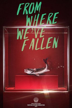 From Where We’ve Fallen (2017) poster