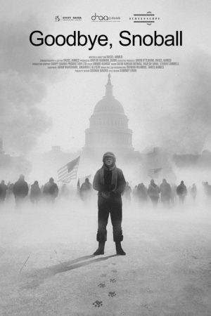 Goodbye, Snoball (2026) poster
