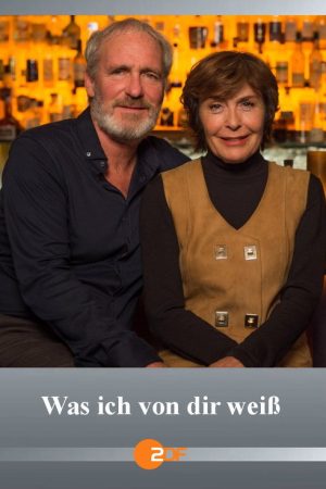 Was ich von dir weiß (2017) poster