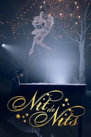 Nit de nits (2020) poster