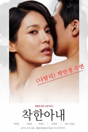 The Kind Wife (2016) poster