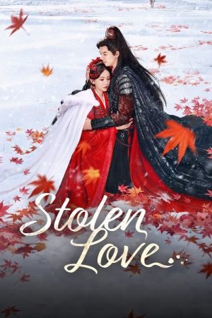 Stolen Love (2025) poster