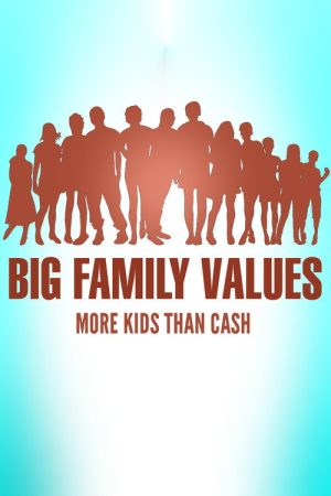 Big Family Values: More Kids Than Cash (2017) poster