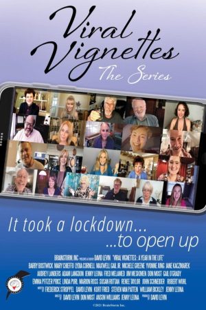 Viral Vignettes (2020) poster