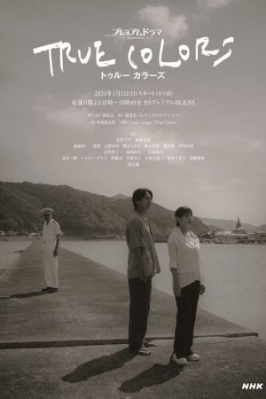 TRUE COLORS (2025) poster