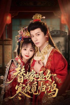 替嫁哑女寒夜觅归鸿 (2026) poster