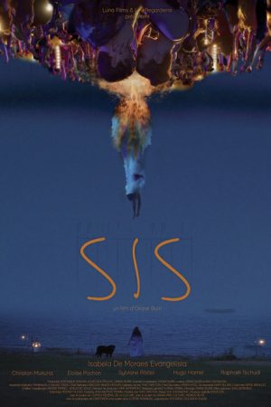 SIS (2025) poster