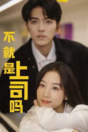 不就是上司吗 (2025) poster