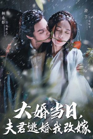 大婚当日夫君逃婚我改嫁 (2025) poster