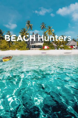 Beach Hunters (2016) poster